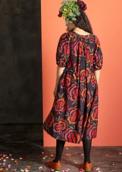 Kangasmekko 
